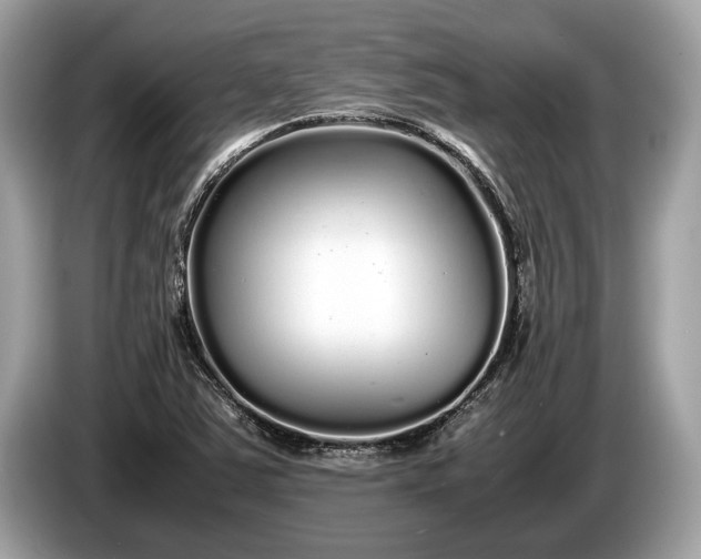 X0000085071363200703191252