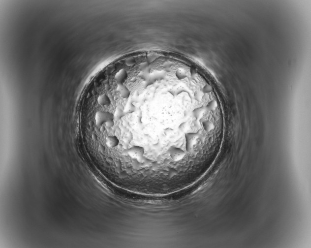 X0000085071367200703191252