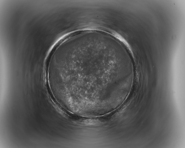 X0000085071368200703191252