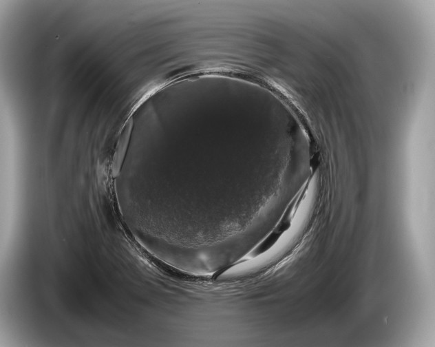 X0000085071369200703191252