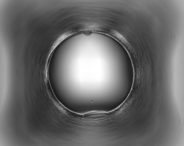 X0000085071370200703191252