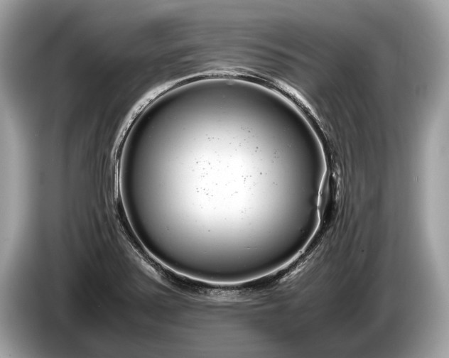 X0000085071371200703191251