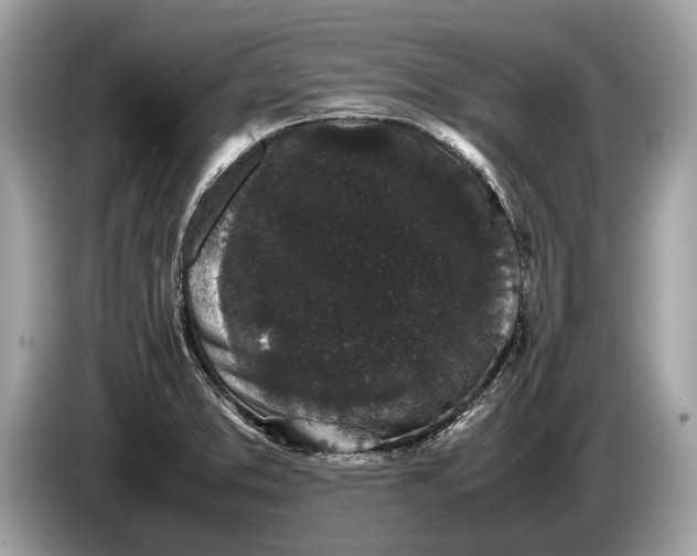 X0000085071373200703191251