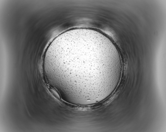 X0000085071374200703191251