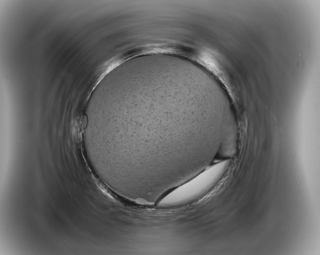 X0000085071377200703191251