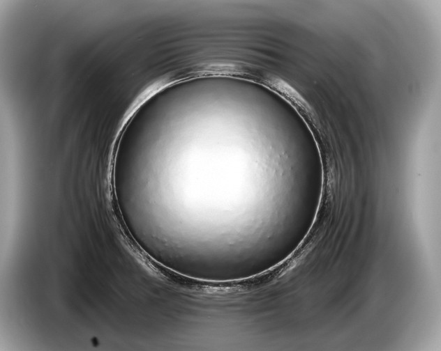 X0000085071378200703191251