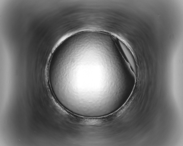 X0000085071382200703191251