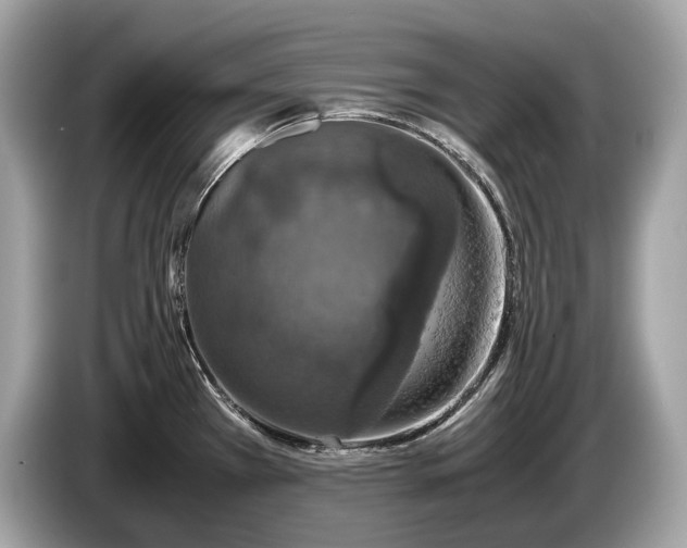 X0000085071385200703191251