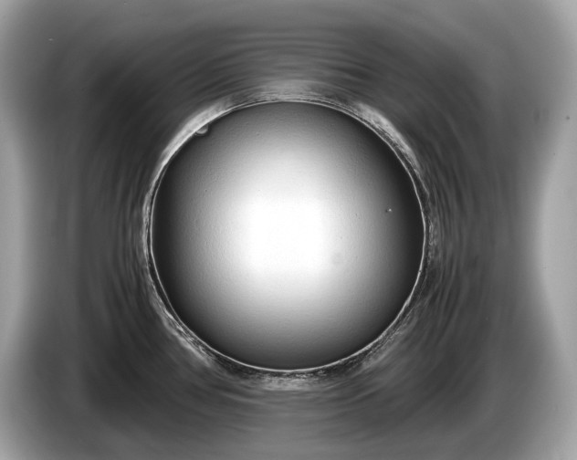 X0000085071386200703191251