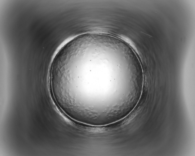 X0000085071387200703191251