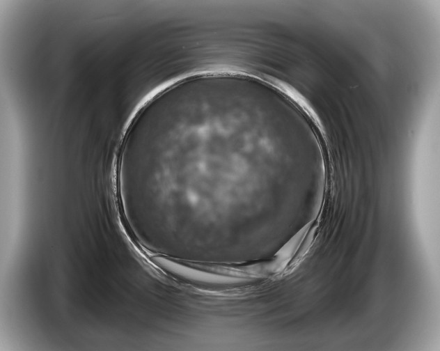 X0000085071388200703191251