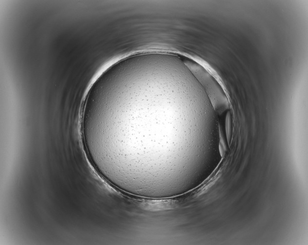 X0000085071390200703191251