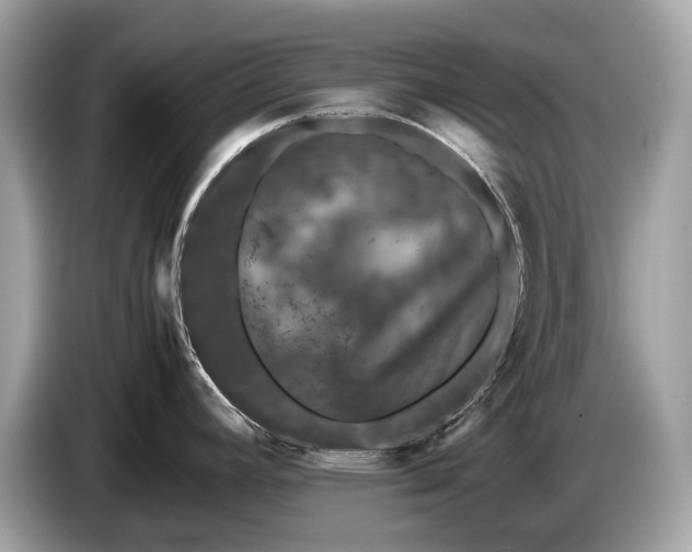 X0000085071392200703191251