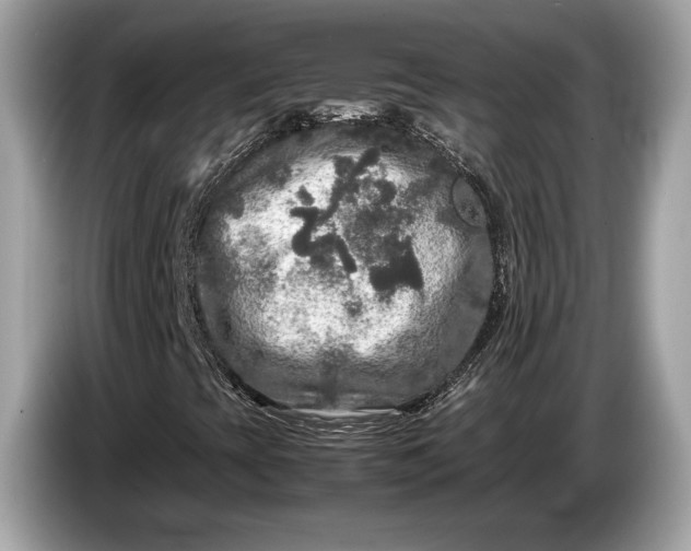 X0000085071393200703191250