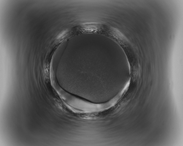 X0000085071394200703191250