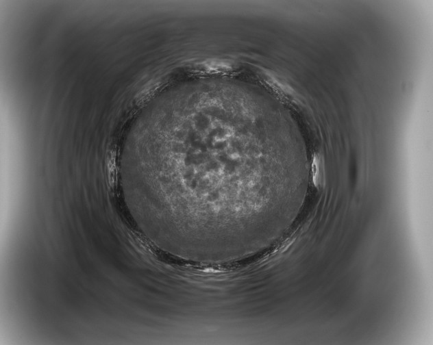 X0000085071395200703191250