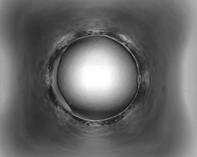 X0000085071398200703191251