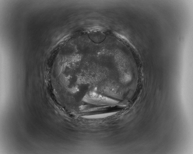 X0000085071399200703191251