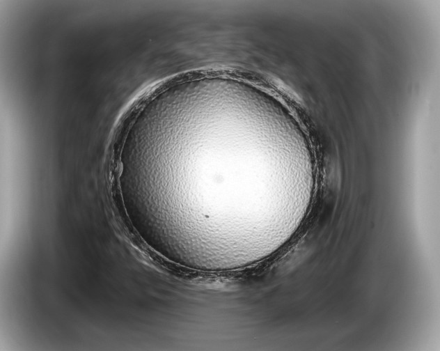 X0000085071400200703191251