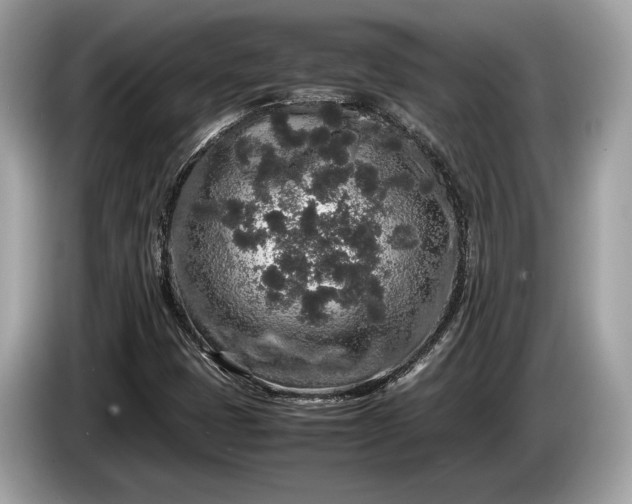 X0000085071401200703191251