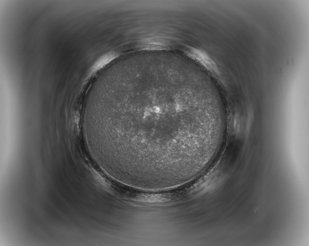 X0000085071402200703191251