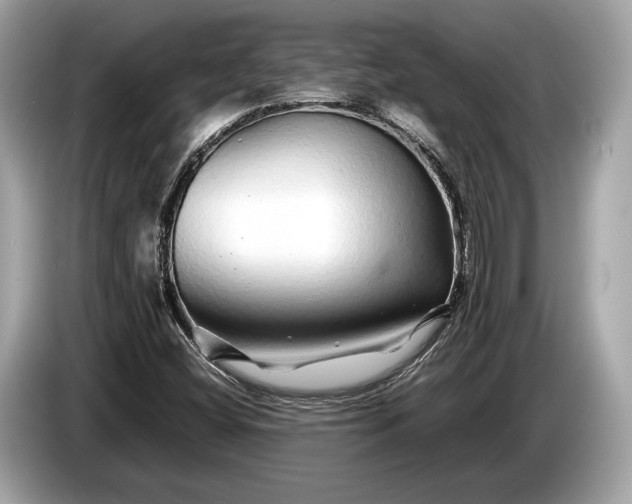 X0000085071404200703191251