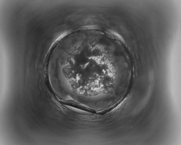 X0000085071405200703191251