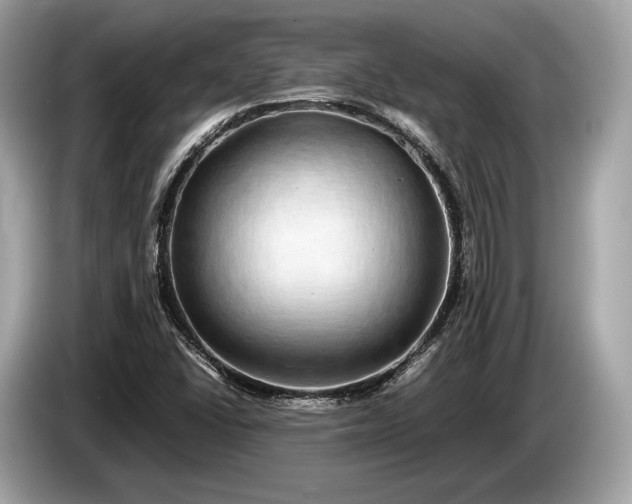 X0000085071406200703191251