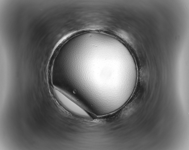 X0000085071412200703191251