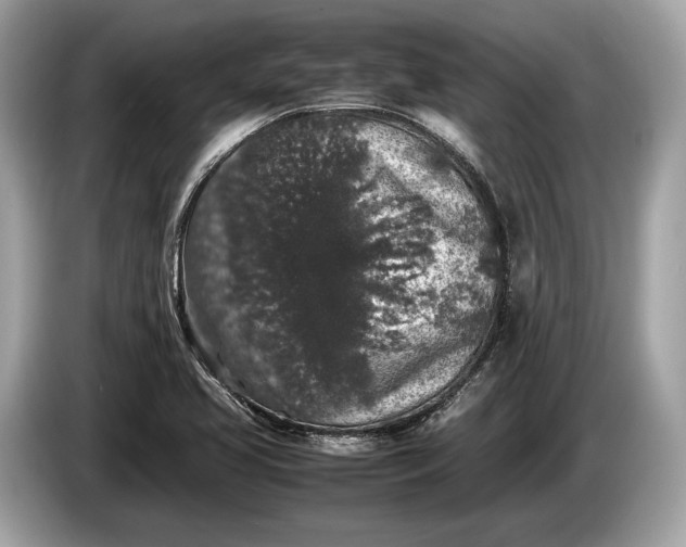 X0000085071413200703191251