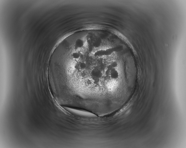 X0000085071417200703191251