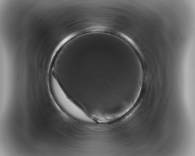 X0000085071418200703191251