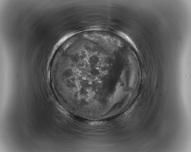 X0000085071419200703191251