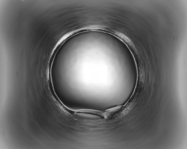 X0000085071420200703191251