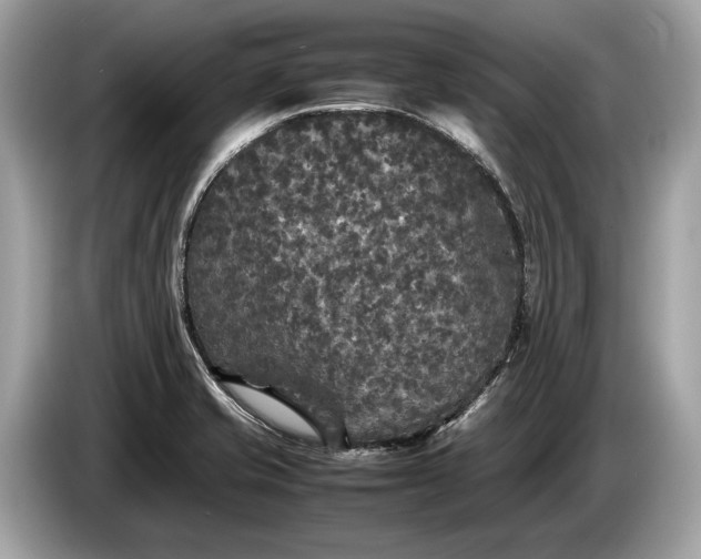 X0000085071421200703191251