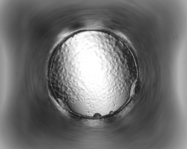 X0000085071422200703191251