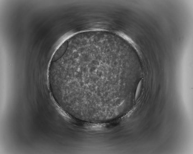 X0000085071423200703191251