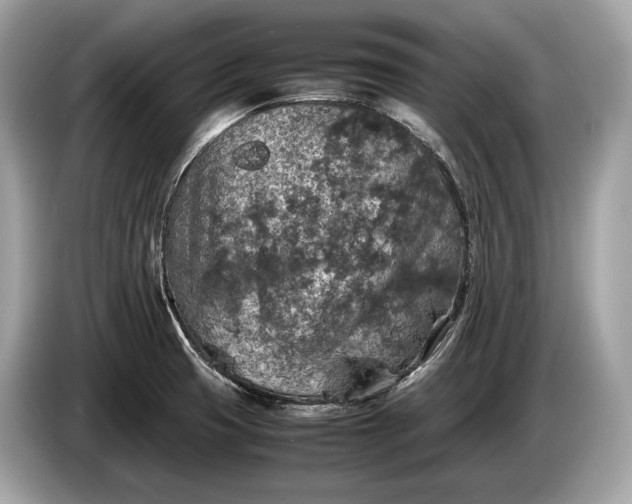 X0000085071425200703191251