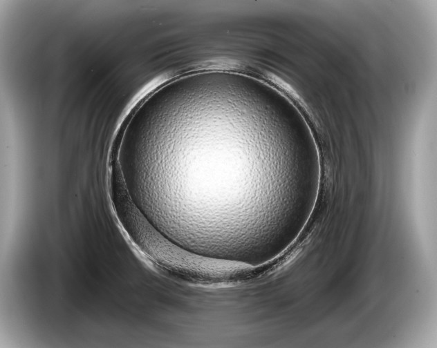 X0000085071426200703191251