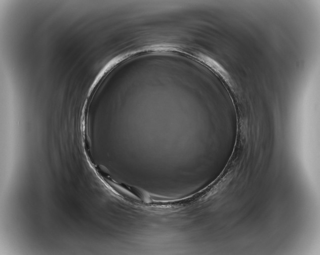 X0000085071428200703191251