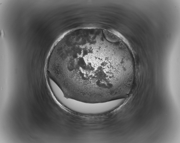 X0000085071429200703191251