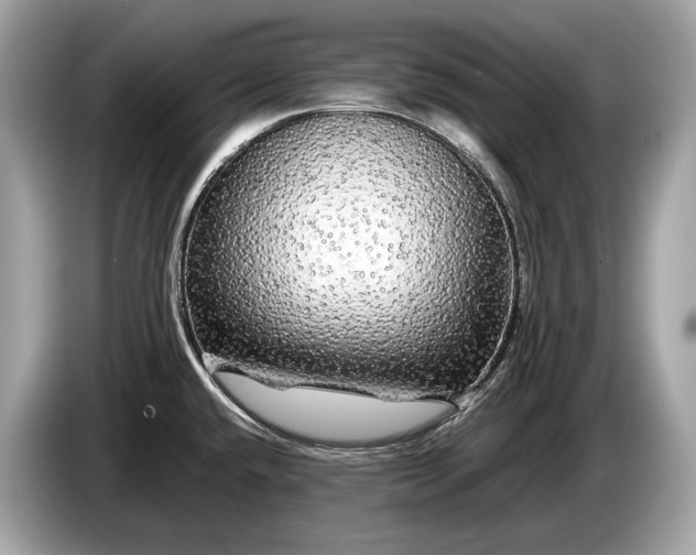 X0000085071432200703191251