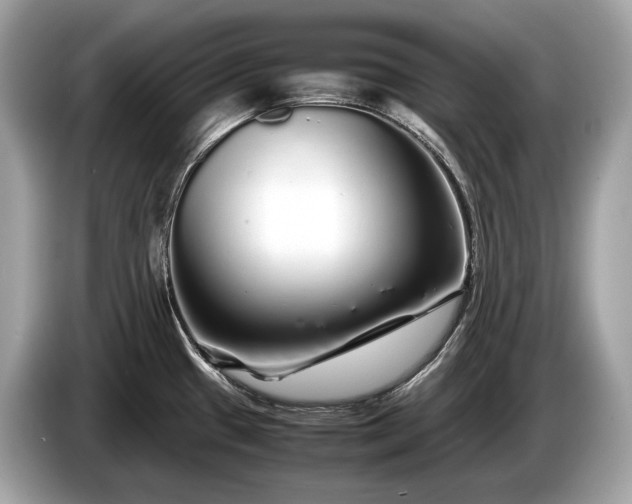 X0000085071433200703191251