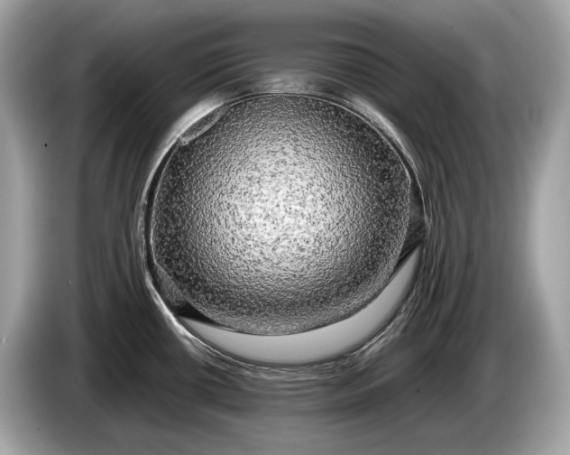 X0000085071434200703191251