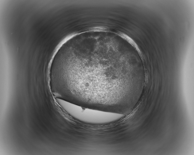 X0000085071435200703191251