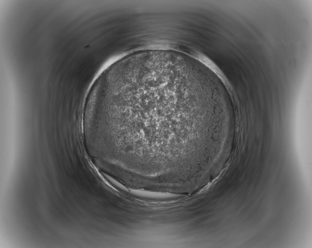 X0000085071436200703191251