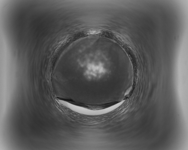 X0000085071441200703191250