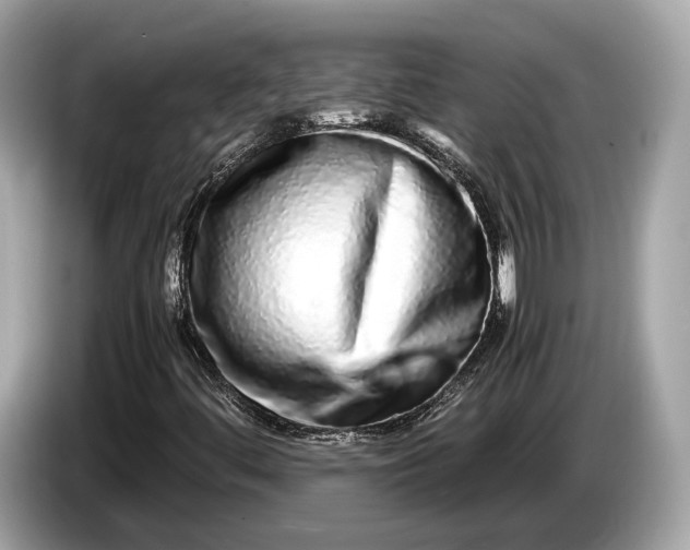 X0000085071444200703191250