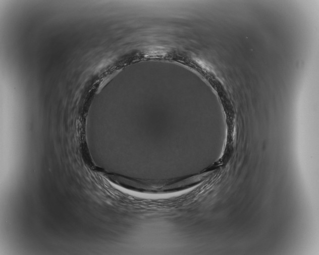 X0000085071445200703191250