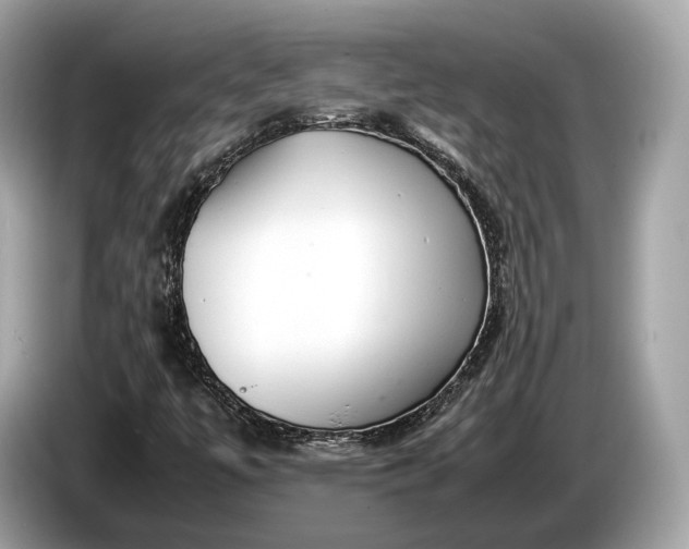 X0000085071447200703191250